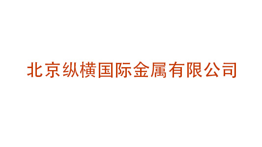 北京縱橫國際金屬有限公司企業(yè)戰(zhàn)略、組織結構及流程再造管理咨詢